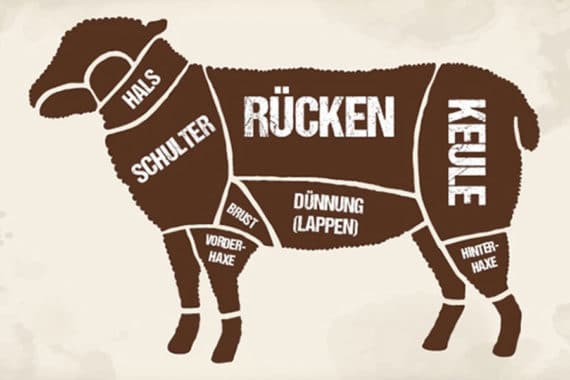 Lamm / Schaf - GÜNSTIG KOCHEN